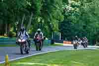 cadwell-no-limits-trackday;cadwell-park;cadwell-park-photographs;cadwell-trackday-photographs;enduro-digital-images;event-digital-images;eventdigitalimages;no-limits-trackdays;peter-wileman-photography;racing-digital-images;trackday-digital-images;trackday-photos